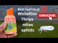 Ulala (upl) सफेद मक्खी 🐝 थ्रिप्स माइट्स एफिड्स के रामबाण 💯#farming #polyhouse 