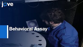 Investigating Role-Spatial Memory During Instinctive Defense In Mice l Protocol Preview