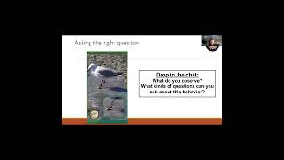 Decoding Wildlife Behavior to Solve Conservation Challenges with Dr. Stefanie Wilks