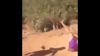 Ngakak Video Lucu Bencong Minta Belanja...  Bai piti sawit cu..