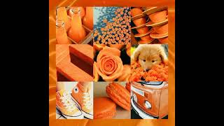 Оранжевая эстетика 🧡