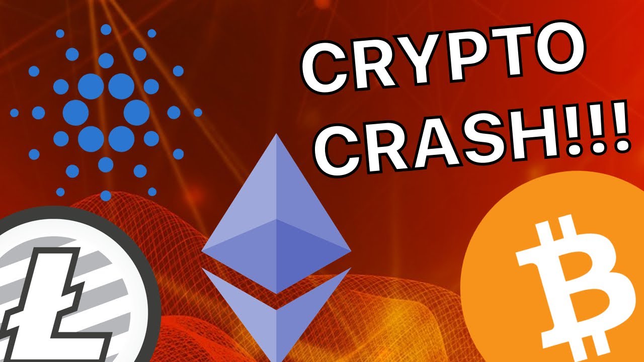 crypto coins crash