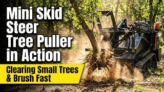 Can a Mini Skid use a Tree Puller?