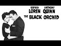 The Black Orchid (1958) Drama Trailer πΊ with Sophia Loren & Anthony Quinn