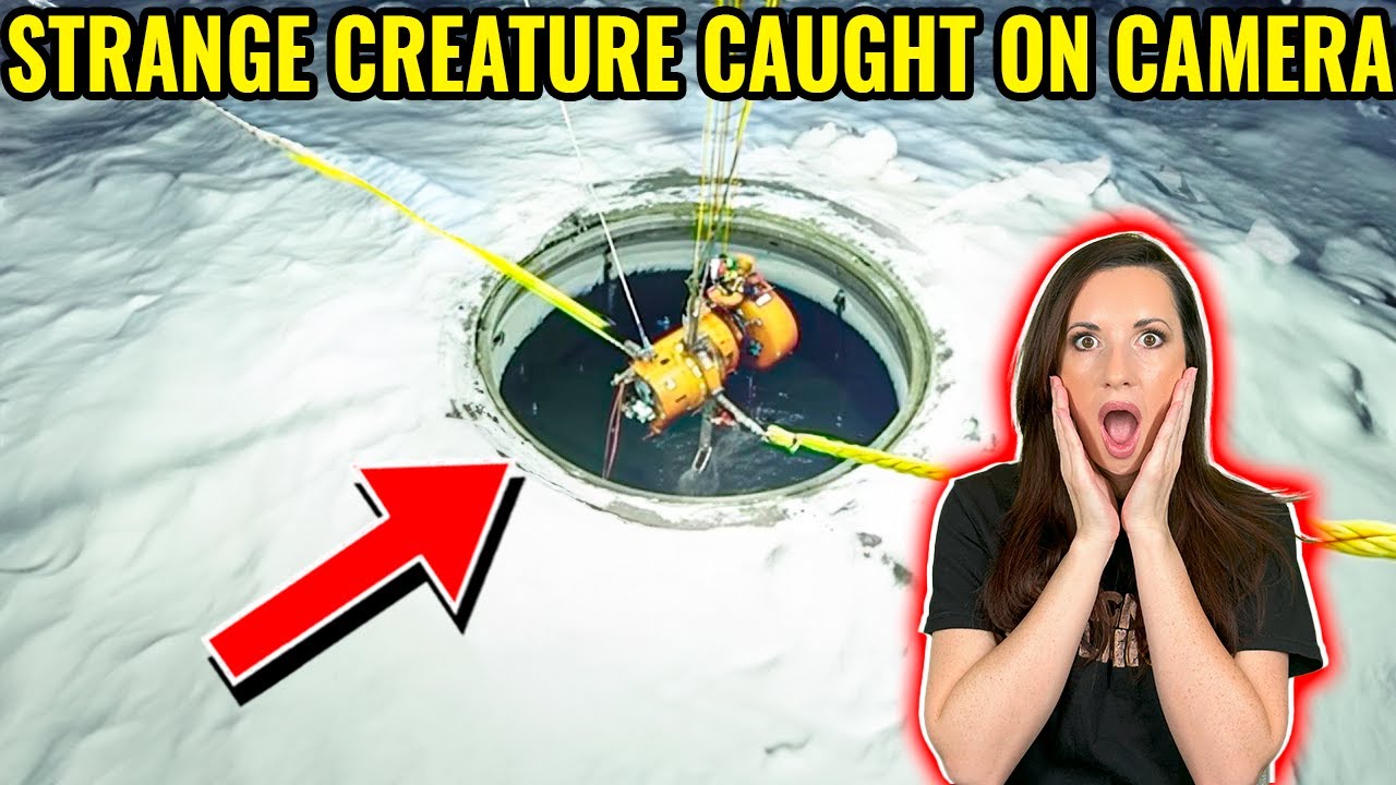 Most Amazing Discoveries Found Frozen In Ice - YouTube