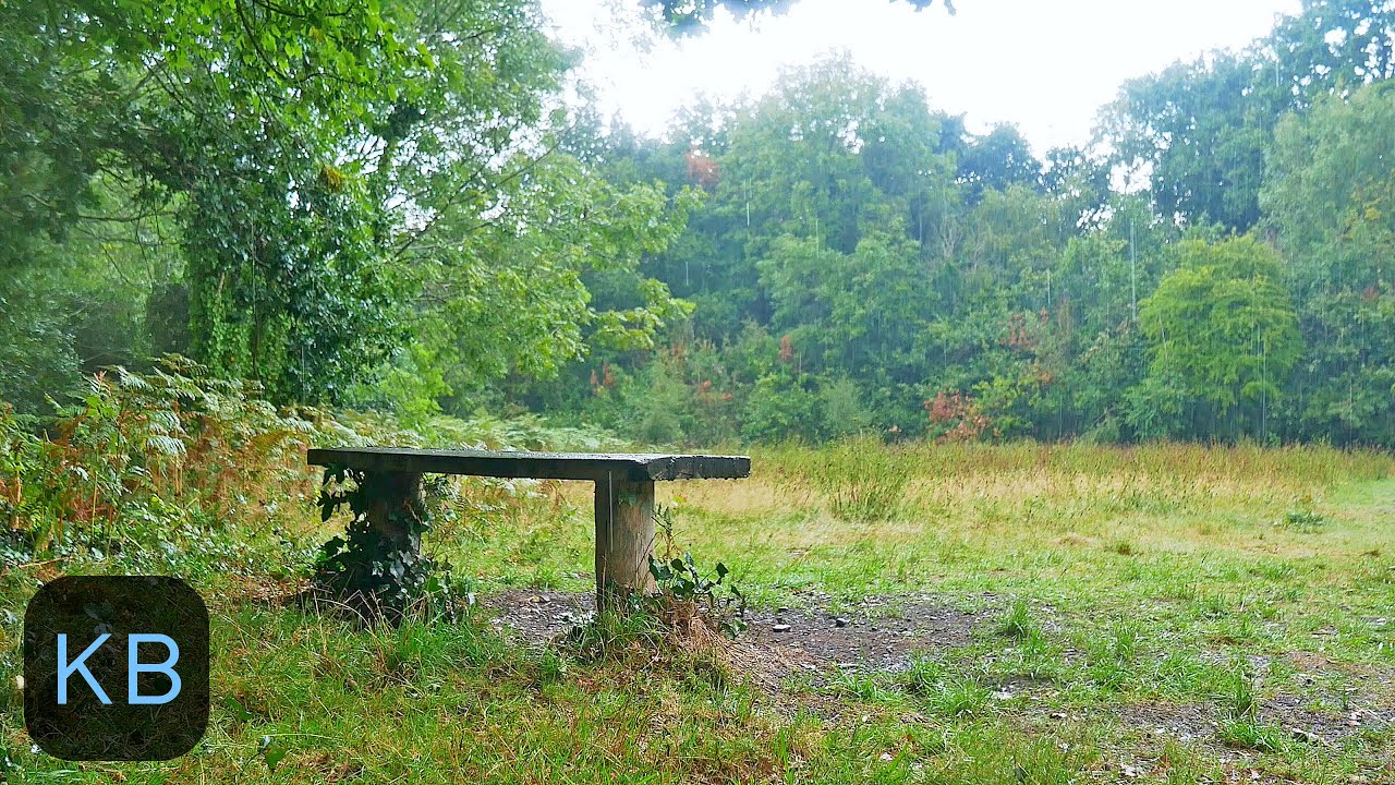 Rain on a Park Bench - 10 Hours White Noise Rain Sounds for Sleep