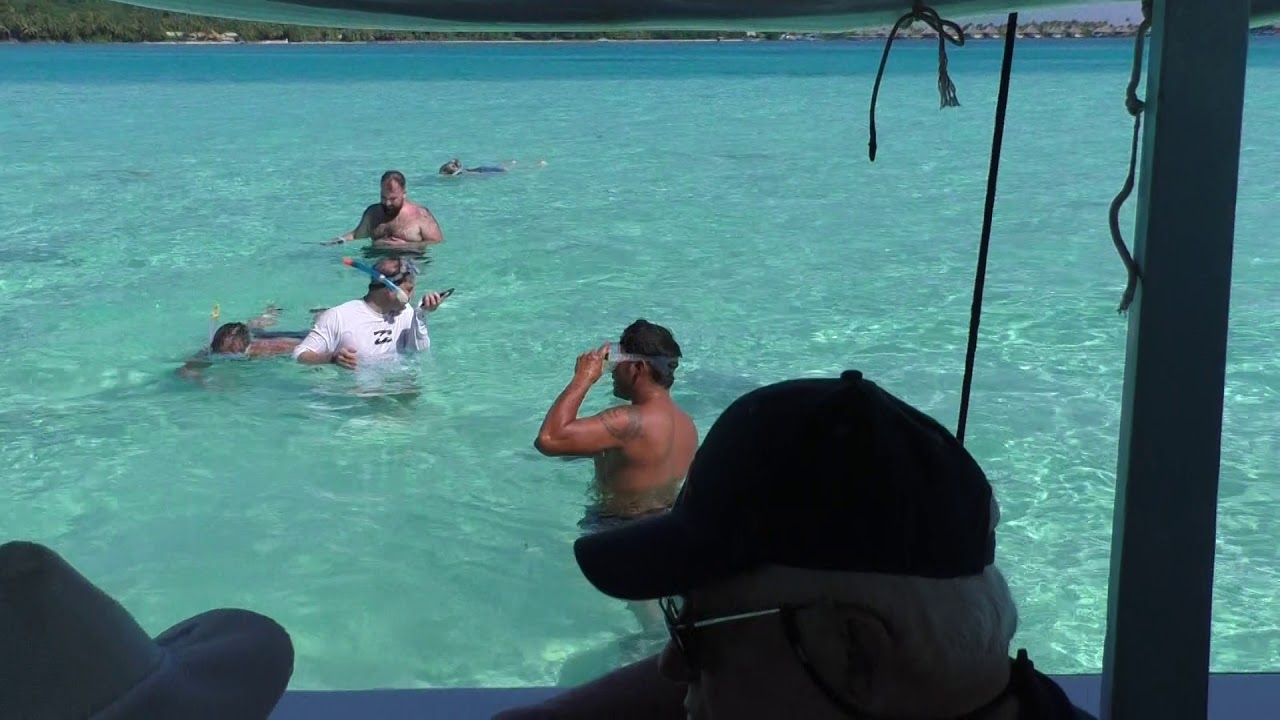 Bora Bora Glass Bottom Boat Tour 2 Regent Cruise 4 Jan 2020