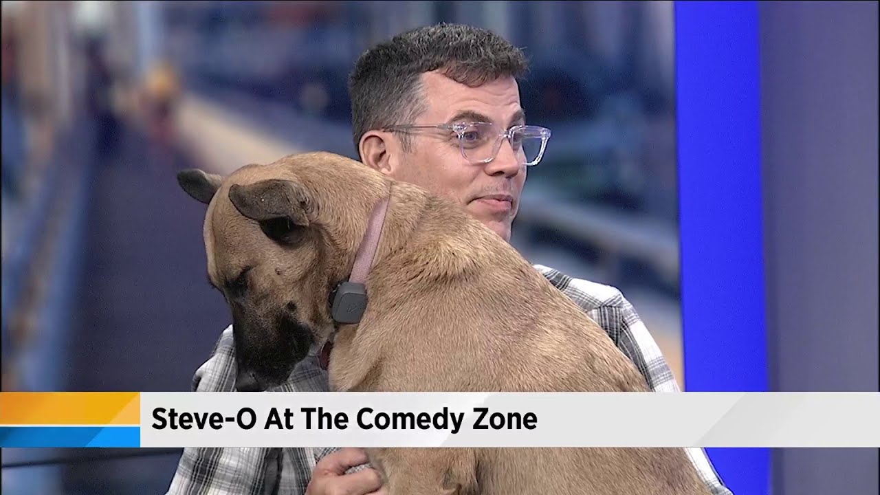Steve-O is at the Comedy Zone this weekend