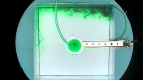 Experiment XIV: Thermohaline Circulation