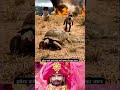 tu dekh Bharosa karke #shyam #mathura #vrindavan #love#barsana #hanuman #radha#radha #radhakrishna