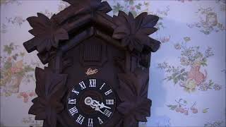 Schatz 1950's 8 day cuckoo clock.