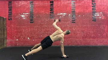 Squat thrust + dumbbell alternating T rotations