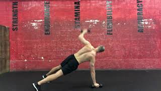 Squat thrust + dumbbell alternating T rotations
