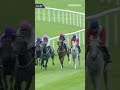 Unicorn Horse! 🦄 ESTRANGE Wins her first G1 in the Pretty Polly Stakes!