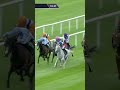 Unicorn Horse! 🦄 ESTRANGE Wins her first G1 in the Pretty Polly Stakes!