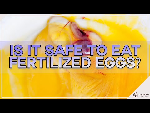 Wideo: Czy spożywanie świeżo zniesionych jaj jest bezpieczne?
