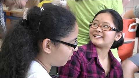 Active Physics Overview Video