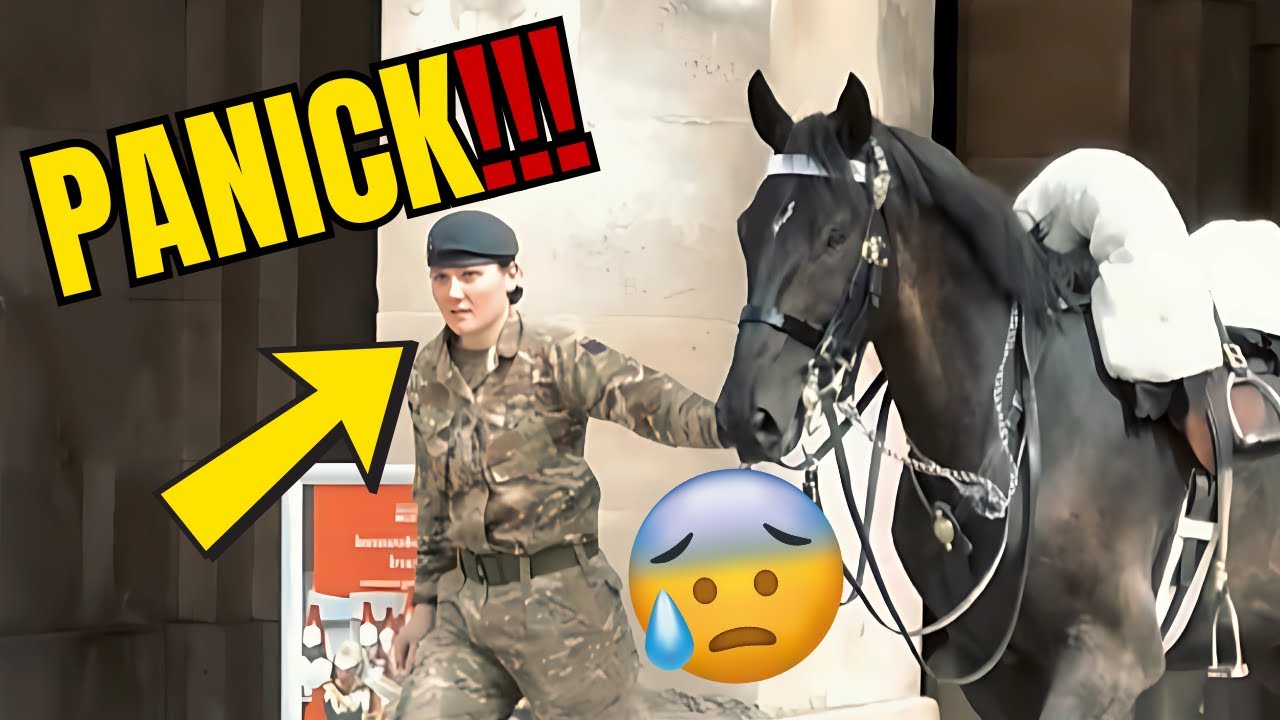 ⚠️ Police Rushed as Horse Panicked 🐎👮‍♂️