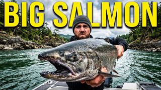 Something BIG In The Water