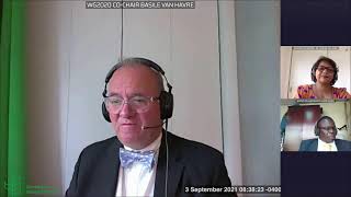 (English) Plenary 3 Sept - Open-ended Working Group 3 on Post-2020 Global Biodiversity Framework