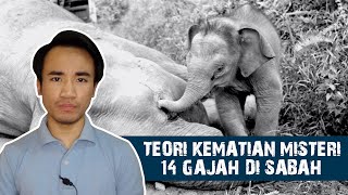 Teori Kematian Misteri 14 Gajah di Sabah