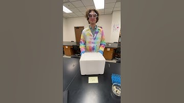 Enzyme Lab Video 2 Cold Temp