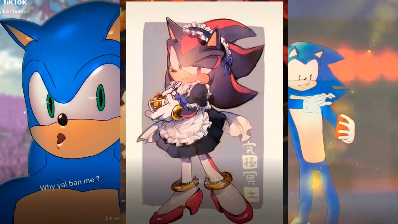 SONIC THE HEDGEHOG 2 TIKTOK COMPILATION #13 - YouTube