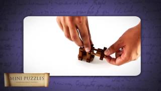 Great Minds Mini Puzzles   Darwin Chest Puzzle