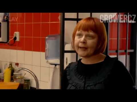 Ano šéfe rumburak
