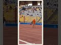 لا الأهلي ولا الأسيوطي.. هتافات حماسية لجماهير الزمالك داخل مدرجات برج العرب قبل مواجهة بترول أسيوط