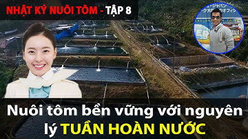 Nuôi tôm bền vững với nguyên lý TUẦN HOÀN NƯỚC [TẬP 8]