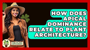 How Does Apical Dominance Relate To Plant Architecture? - The Plant Enthusiast
