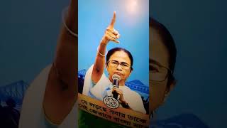 #kachabadam gaan chai#mamatabanerjee#newviralshort2026#freefireshortyt #trending #official