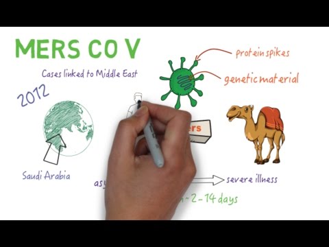 MERS CoV - An overview