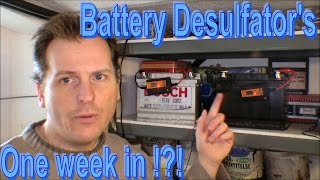 Battery Desulfators after one week  Update  173