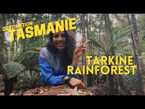 Vlog #TASMANIE (Ep.03) | PETITE BALADE DANS LA FÔRET