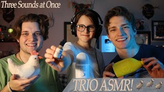 Trio ASMR - (Three Triggers at Once) by Three Sheep ASMR 42,830 views 1 month ago 41 minutes