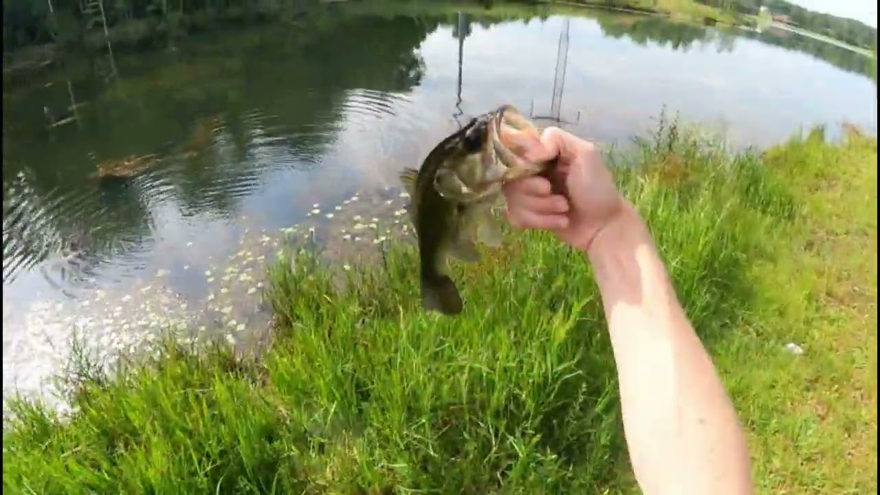 Exploring new ponds. (will I ever catch a big bass again)