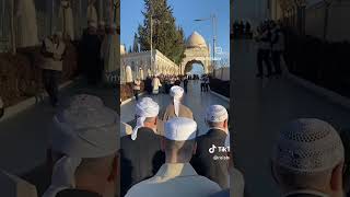 Seyda-I Sultan Ruy-I Zemin Es Şeyh Es Seyyid Muhammed Saqi El Hüseyini Kaddesâllâhu Sırrahul Âli