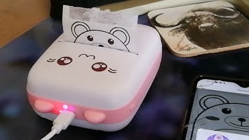 Mini Cat Thermal printer