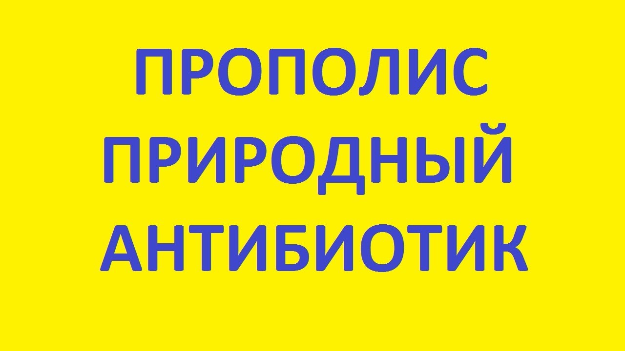 прополис. природный антибиотик. прополисная вода. прополис лечение ...