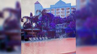 Purple Palm - Purple Palm / Ramada Radisson (2018)