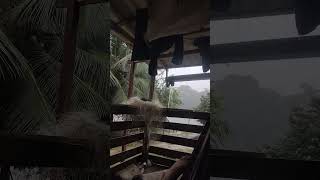 Chuva de bençãos #bora_pra_estrada #humor #barcopesqueiro #caminhoparaumavidamelhor #chuvas