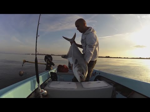 una leccia furiosa!! con finale………