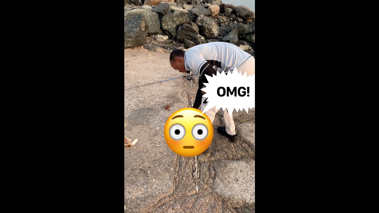 Sharp Teeth Needlefish Action