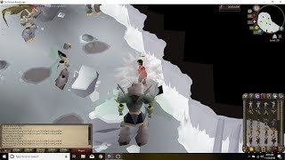 Wilderness Slayer Aviansie