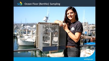 Ocean Floor (Benthic) Sampling