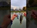 Fishing with a ROBOTIC LURE 🐟🎣 #fishing #bassfishing #fish