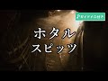 【カラオケ】ホタル / スピッツ (ガイドメロディ付き)