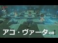 [ゼルダの伝説]アコ・ヴァータの祠をクリアした。宝箱もコンプリートした。